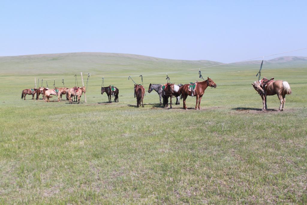 Maison d'hôtes Nomad Horse Camp à Nalayh Extérieur photo